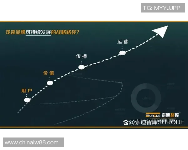 创新策划与执行的高效融合：打造市场领先品牌的全流程战略方案