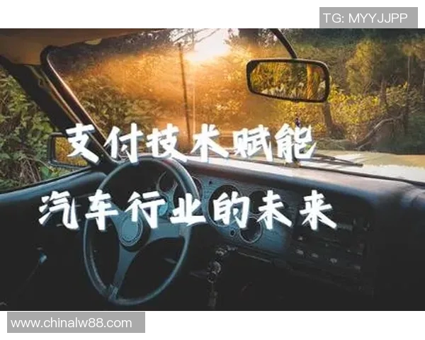 南京网球队的转型升级之路：从传统到创新的全面革新探索